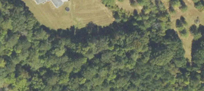 Wooded Hunting Land with Pond