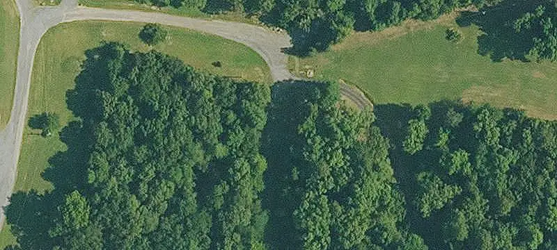 Wooded Hunting Land