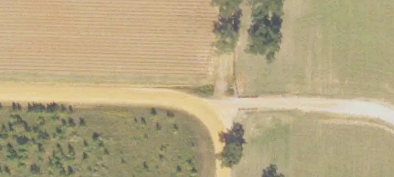 Cattle Ranch With Working Pens
