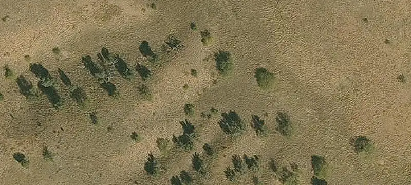 Unimproved Land
