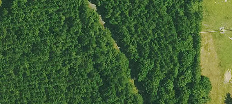 Cleared Agricultural Land
