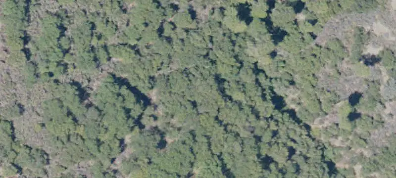 Land/Lot