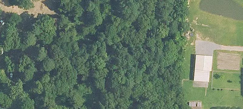 Lots & Acreage / Improved Land