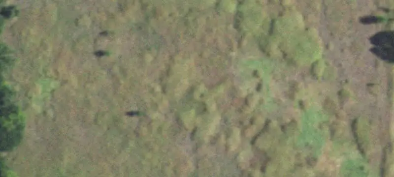 Contiguous Hunting Land