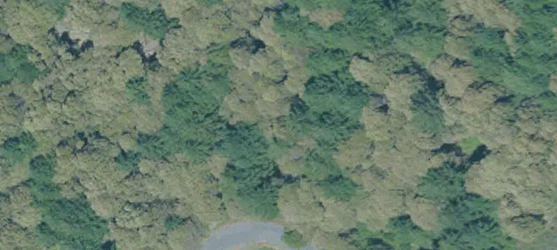 Land or Vacant Lot
