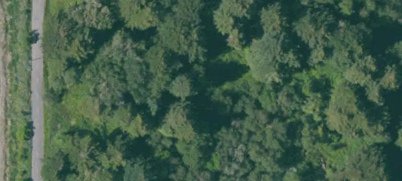 Flat Agricultural Land