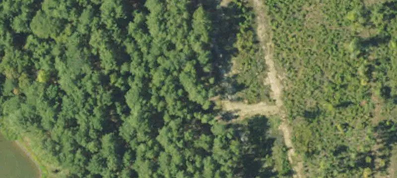 Hunting Land with Food Plots
