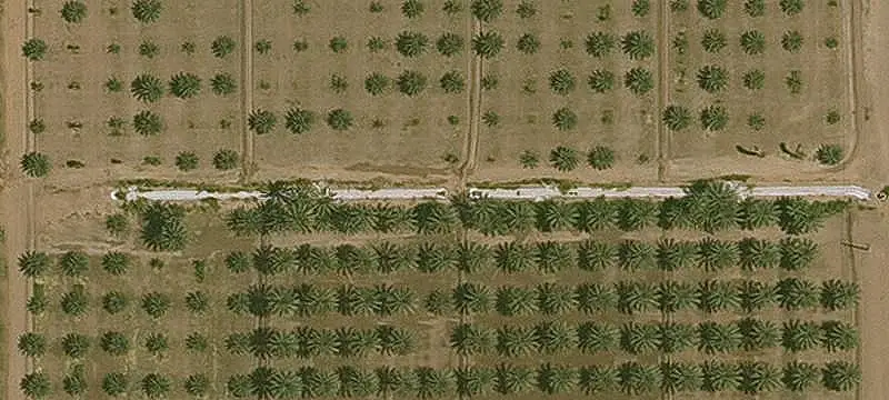 Unimproved Land