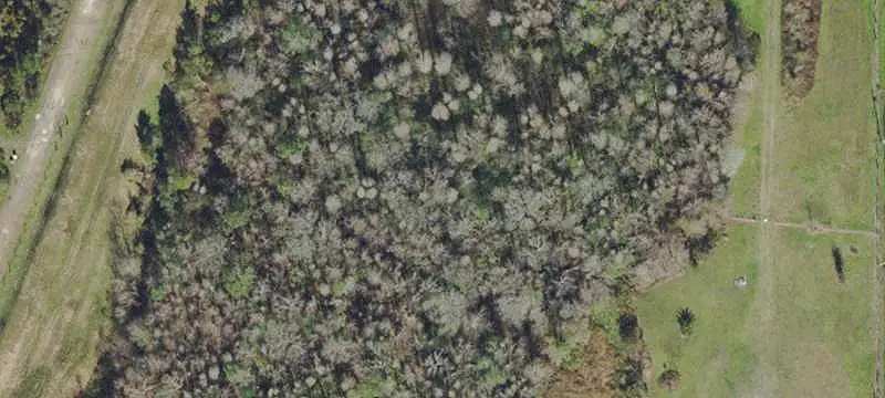 Lots/Land