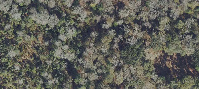 Land/Lot