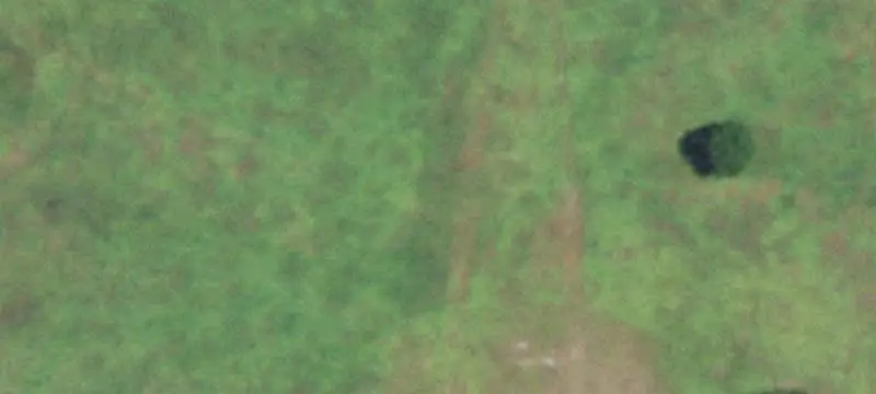 Rolling Farmland with Oak Trees