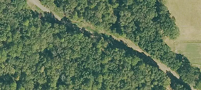 Hunting Land with Mature Timber