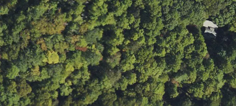 Wilderness Land with Off-Grid Cabin