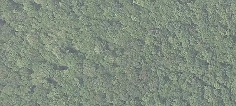 Land/Lot