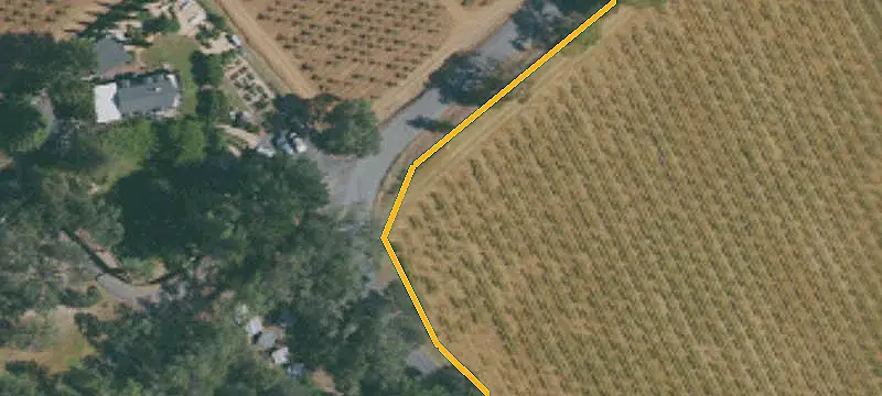 Established Vineyard Parcel