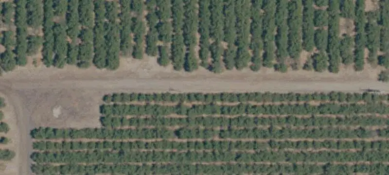 Almond Farm With Irrigation Wells