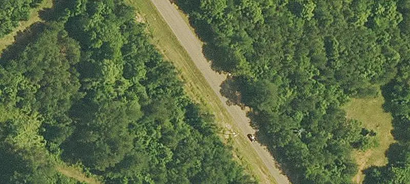Mixed Timber Hunting Land