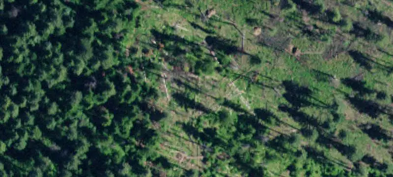 Land / 10+ Acres