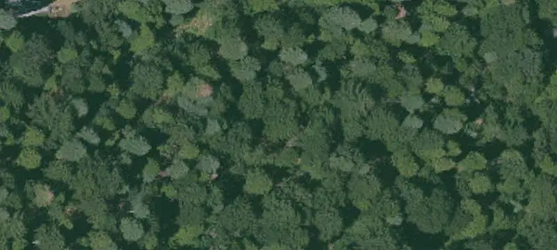 LOTS AND LAND