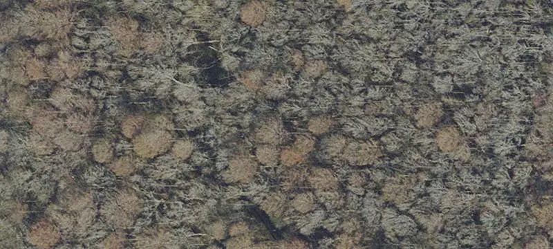 Black Creek Waterfront Land