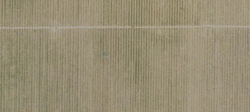 Agricultural Farmland with Well Water