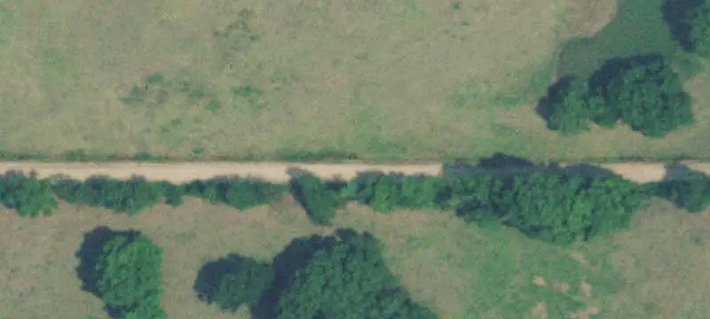 Partially Cleared Agricultural Land