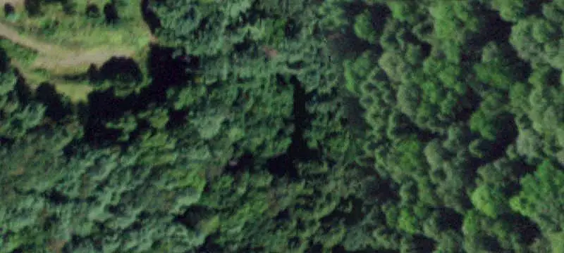 Wooded Recreation Land with Cabin