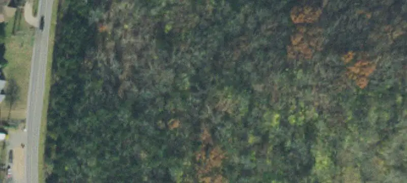 Land