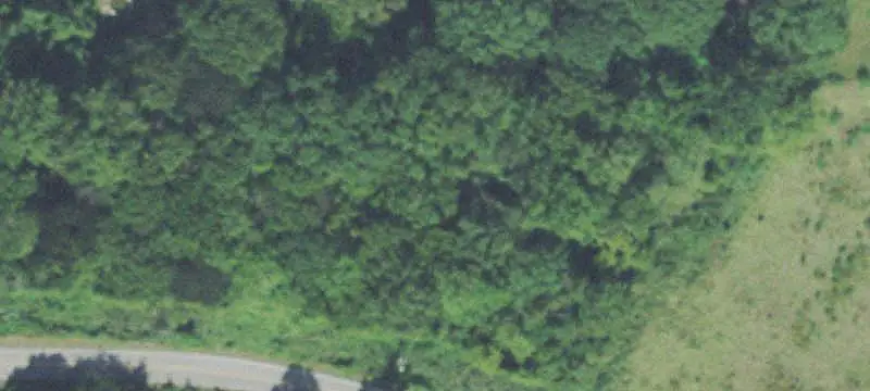 Land / Land