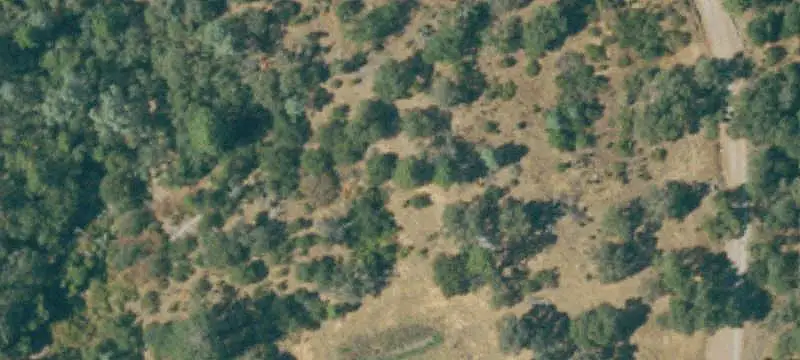 Ridge and Valley Land