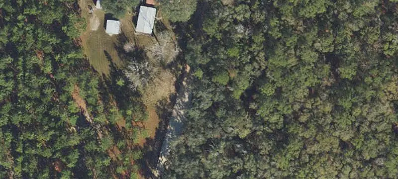 Farmland with Planted Pines