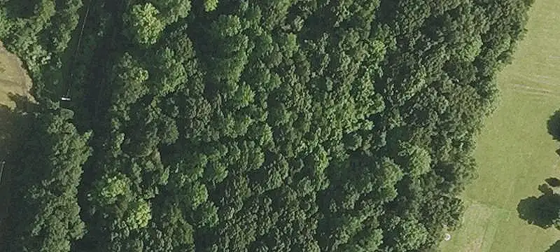 Lot & Land