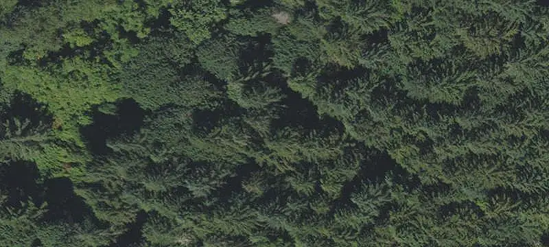 Unimproved Land