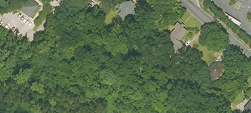 Wooded Commercial Land