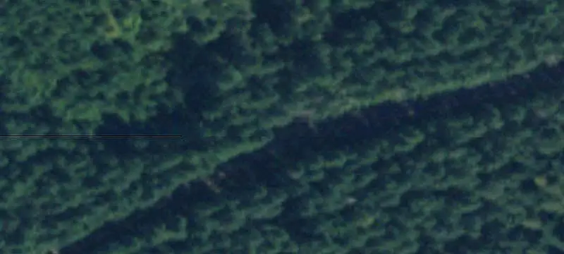 Forested Recreation Land with Creek