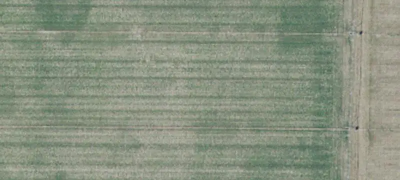 Dairy Farm with Rotary Barn