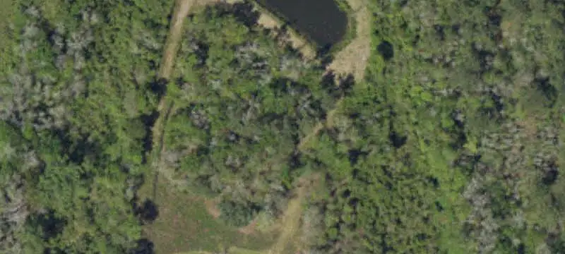 Unimproved Land