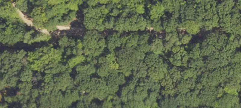 Wooded Hunting Land with Rustic Cabin