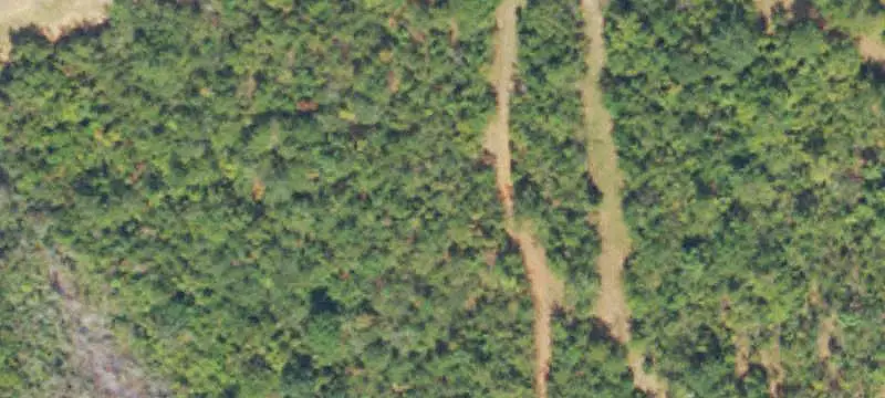 Hunting Land with Barndominium