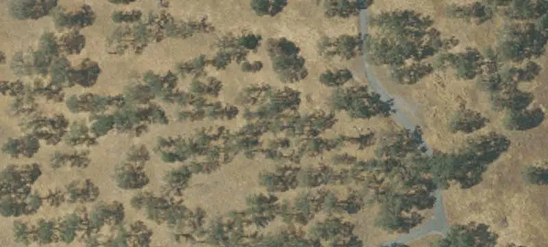 Pasture Agricultural Land