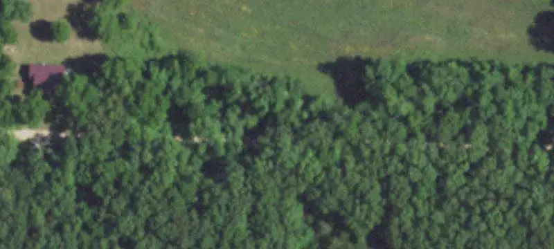 Working Farm with Ponds