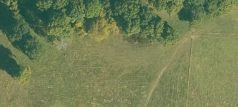 Agricultural Farm Property