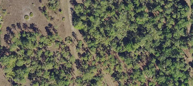 Large Land Parcel with Pond