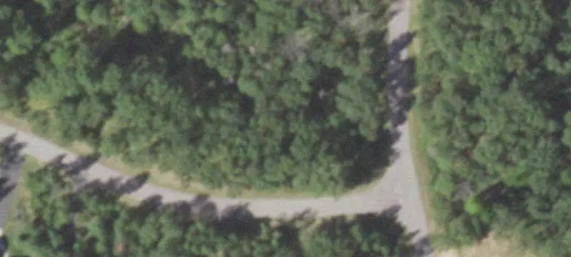 Lots & Acreage / Other