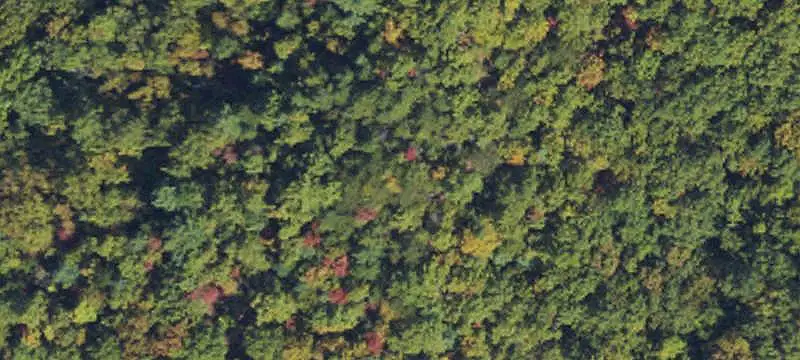Land/Lot