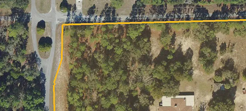 Wooded Vacant Land Parcel