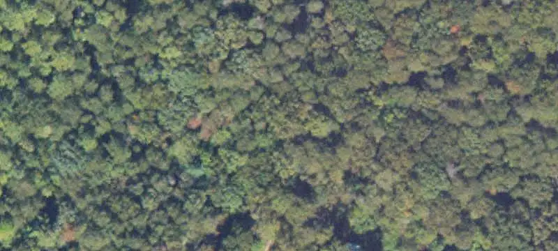 Unrestricted Farmland with Timber