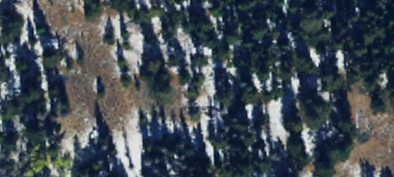 40-Acre Agricultural Land