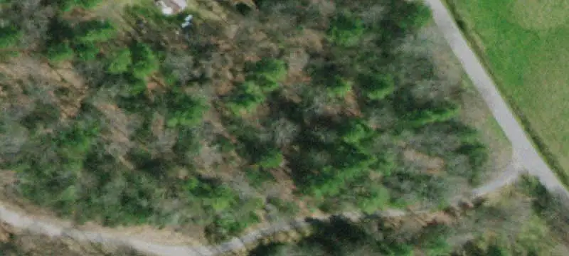 Land