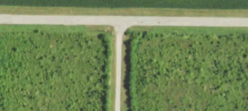 Tillable Farm with Grain Bins